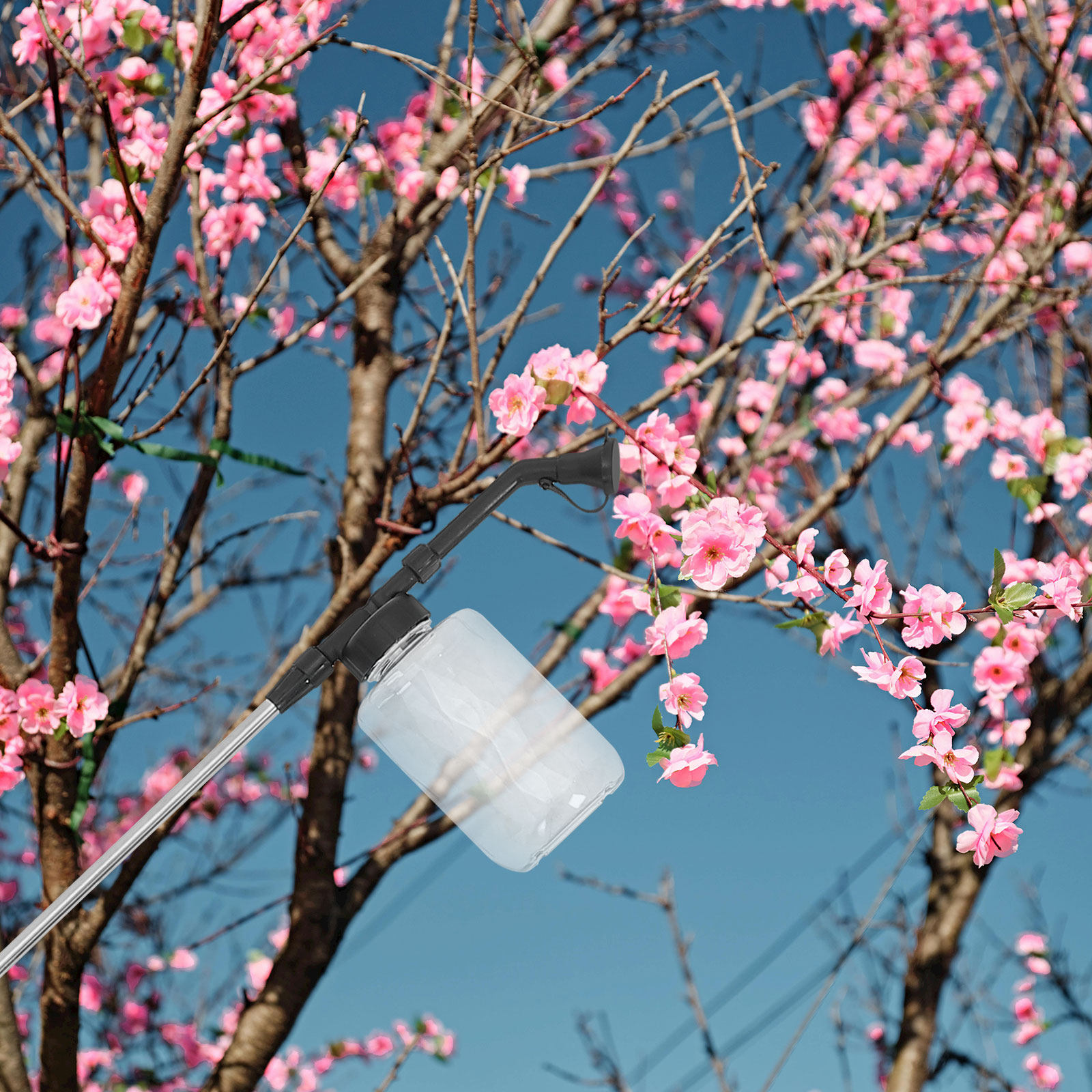 ไม้ปัดฝุ่นแบบมือถือสำหรับการผส - Flower Supply บทวิจารณ์และราคา